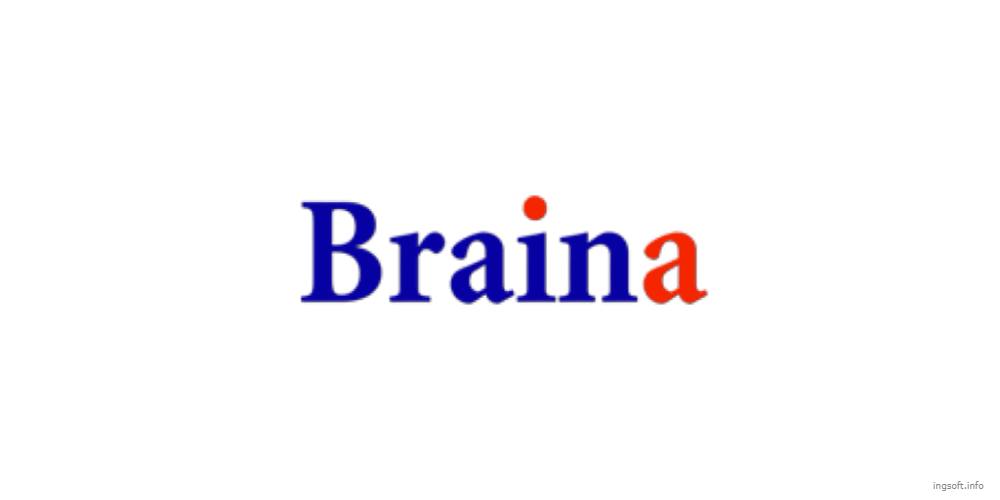 Braina Pro service
